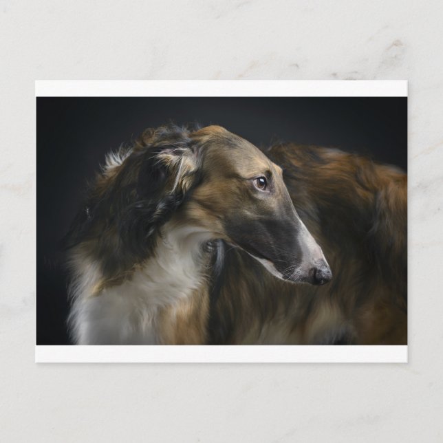 Postal borzoi (Anverso)