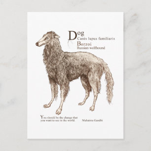 Postal Borzoi - frutos secos