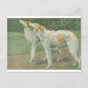 Postal Borzoi (Wolfhound ruso)