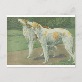 Postal Borzoi (Wolfhound ruso)