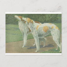 Postal Borzoi (Wolfhound ruso)