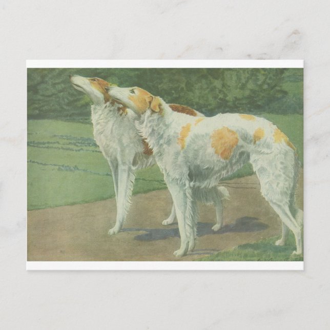 Postal Borzoi (Wolfhound ruso) (Anverso)