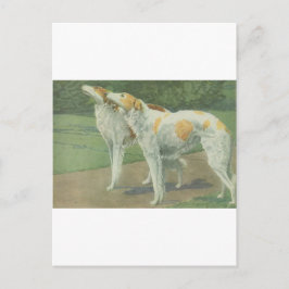 Postal Borzoi (Wolfhound ruso)
