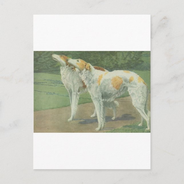 Postal Borzoi (Wolfhound ruso) (Anverso)