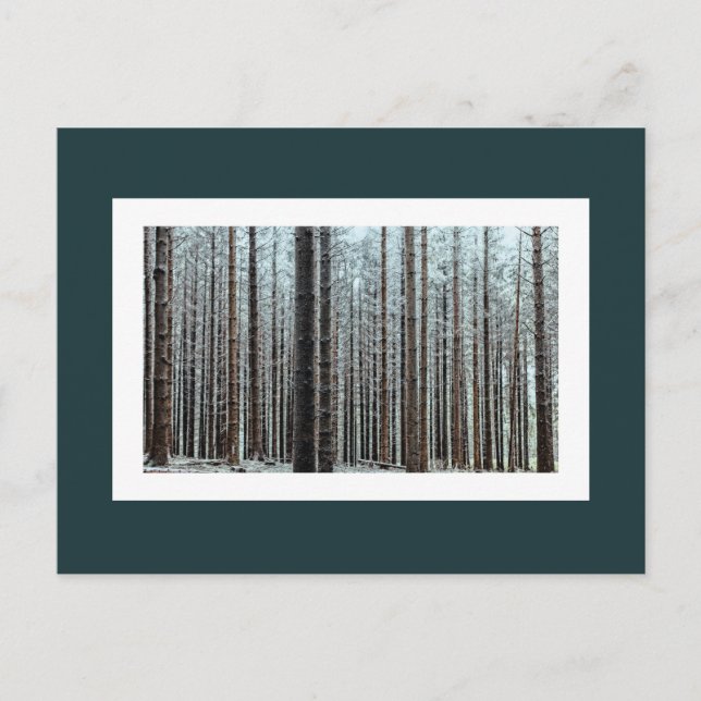 Postal Bosque (Anverso)