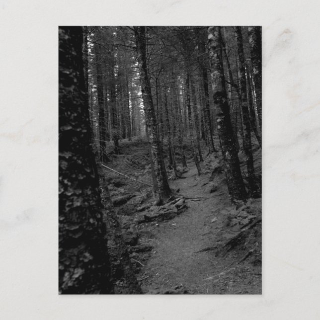 Postal Bosque (Anverso)