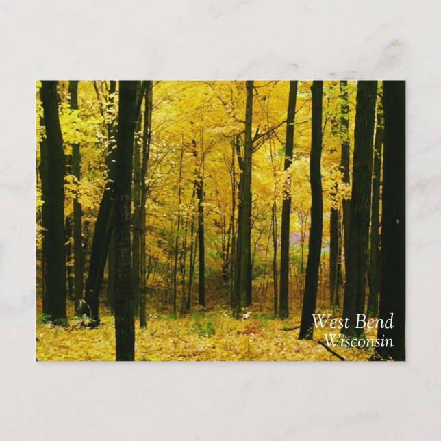 Postal Bosque amarillo otoñal (Anverso)