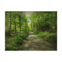 Bosque Bristol Avon en primavera.