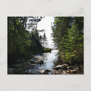 Postal Bosque cerca de la playa de Hunters