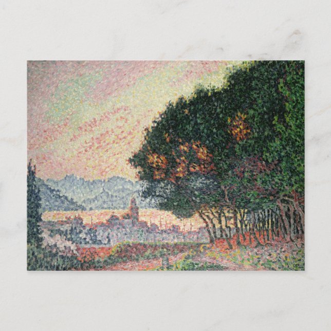 Postal Bosque cerca de St. Tropez, 1902 (Anverso)