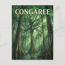 Postal Bosque Congaree