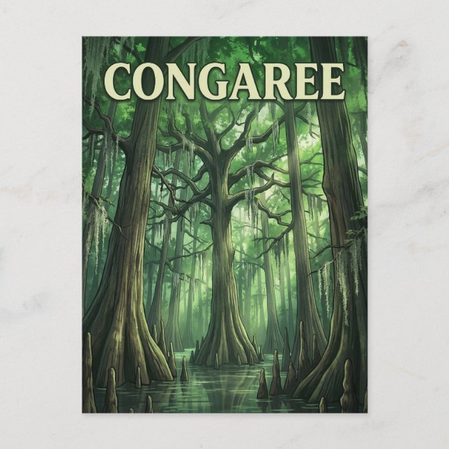 Postal Bosque Congaree (Anverso)