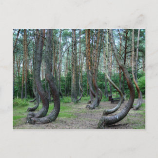 Postal Bosque Crooked - Polonia