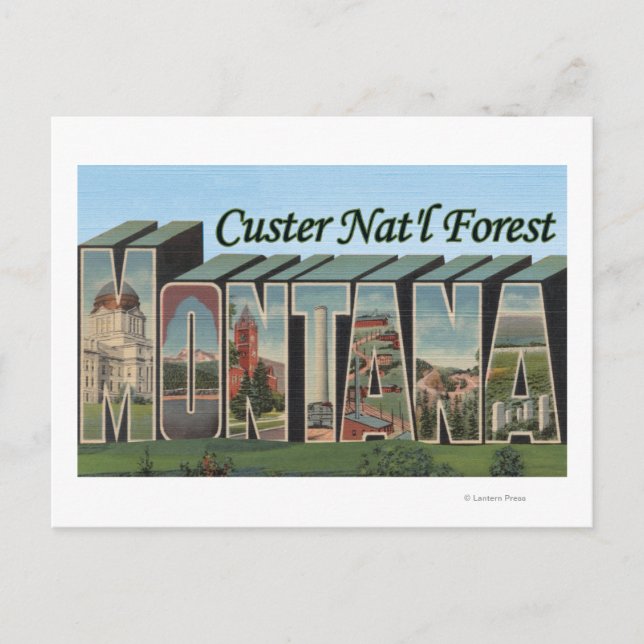 Postal Bosque Custer Nat'l, Montana (Anverso)