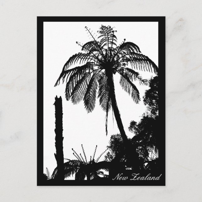 Postal Bosque de árboles de fern, Fern plateado, naturale (Anverso)