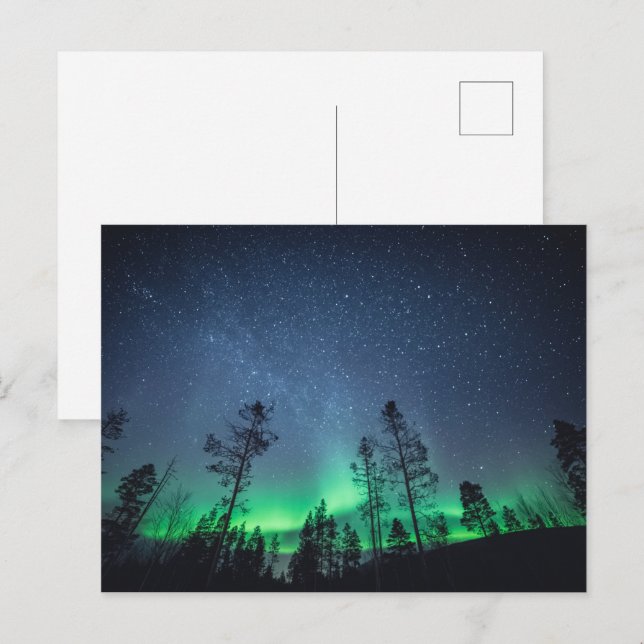 Postal Bosque de Aurora (Anverso / Reverso)