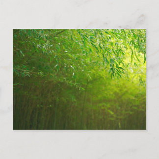 Postal Bosque de Bambú
