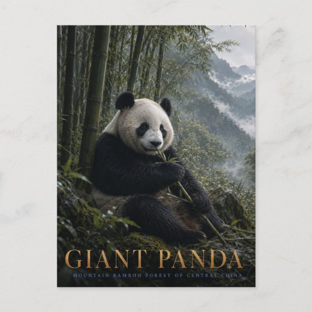 Postal Bosque de Bambú del Panda Gigante ANIMALES (Anverso)