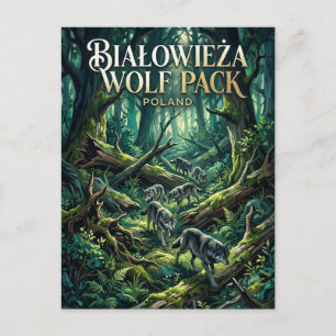 Postal Bosque de Białowieża Polonia