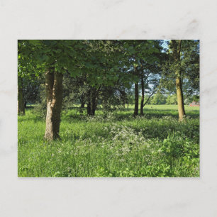 Postal Bosque de Blackweir, Parque Bute, Gales de Cardiff