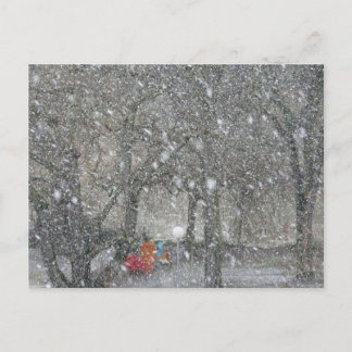 Postal Bosque de Blizzard