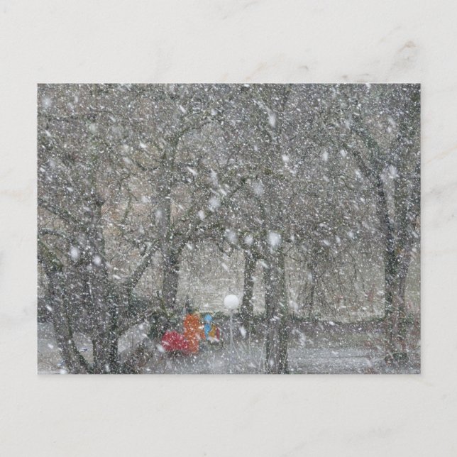 Postal Bosque de Blizzard (Anverso)