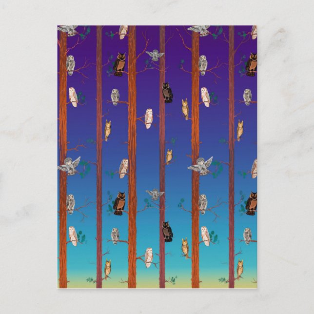 Postal Bosque de búho (Anverso)