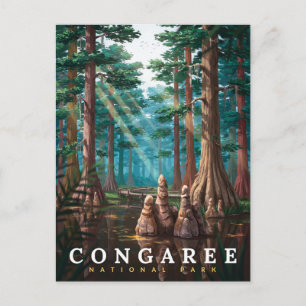 Postal Bosque de cipreses del Parque Nacional Congaree