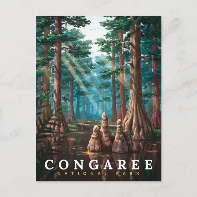 Postal Bosque de cipreses del Parque Nacional Congaree (Anverso)