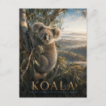 Bosque de eucaliptos de koalas ANIMALES