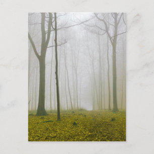 Postal Bosque de fantasía con neblina y follaje amarillo