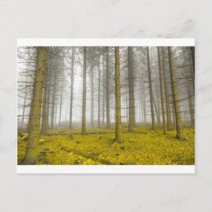 Postal bosque de fantasía con neblina y follaje amarillo