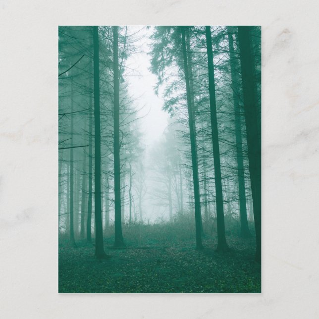 Postal Bosque de fantasía con niebla en verde (Anverso)