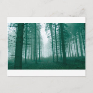 Postal Bosque de fantasía con niebla en verde