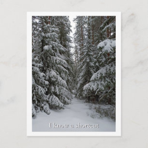 Postal Bosque de hoja perenne nevado personalizado