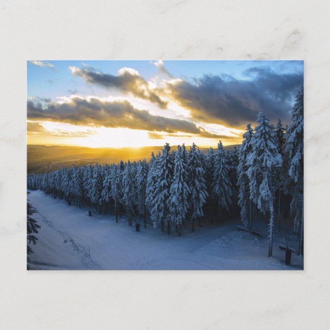 Postal Bosque de invierno (Anverso)