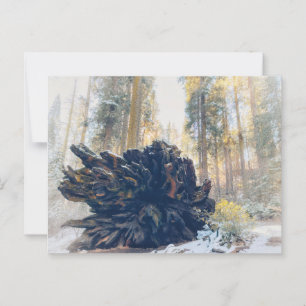Postal Bosque de Invierno del Parque Nacional Sequoia