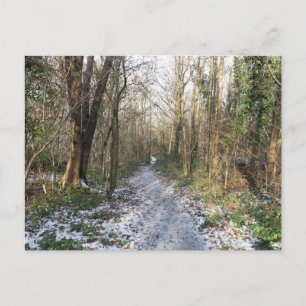 Postal Bosque de invierno en Arnside