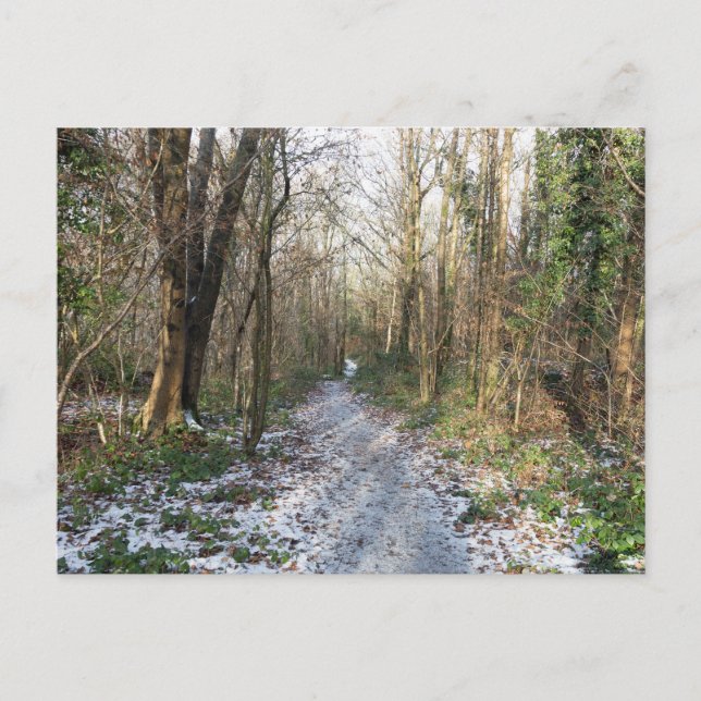 Postal Bosque de invierno en Arnside (Anverso)
