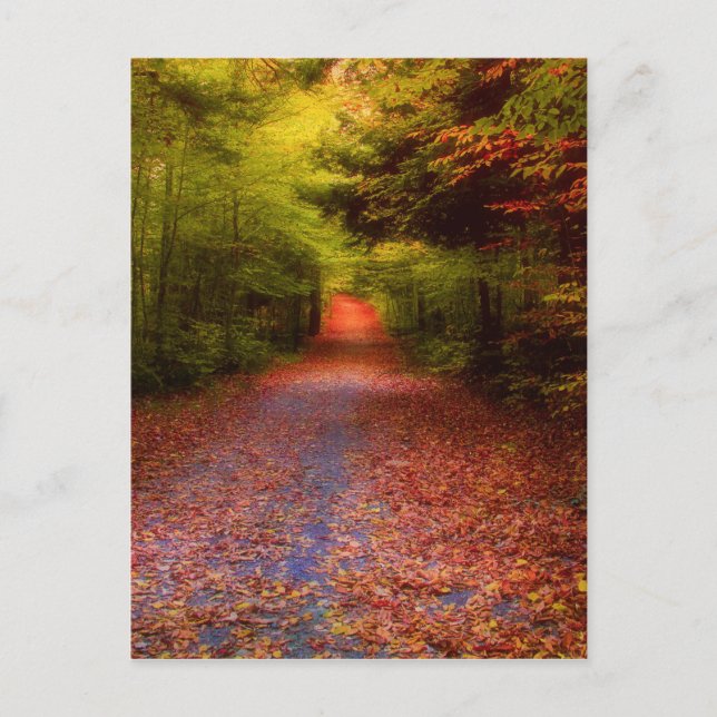 Postal Bosque de la cañada (Anverso)