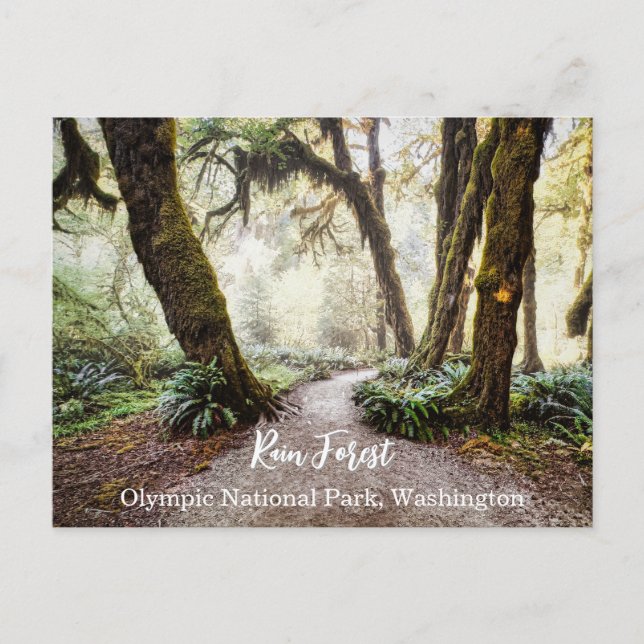 Postal Bosque de Lluvia ・ Parque Nacional Olímpico, Washi (Anverso)