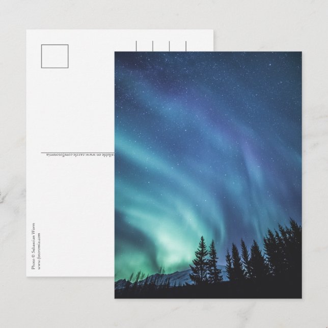 Postal Bosque de luces del norte (Anverso / Reverso)