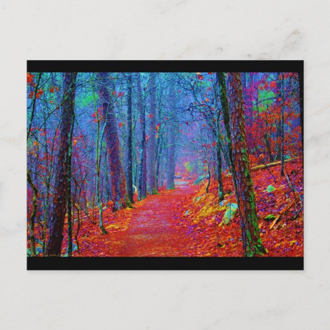 Postal Bosque de luz negra pintura al óleo (Anverso)
