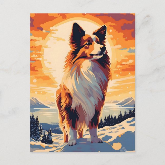 Postal Bosque de montaña Shetland Sheepdog durante su (Anverso)