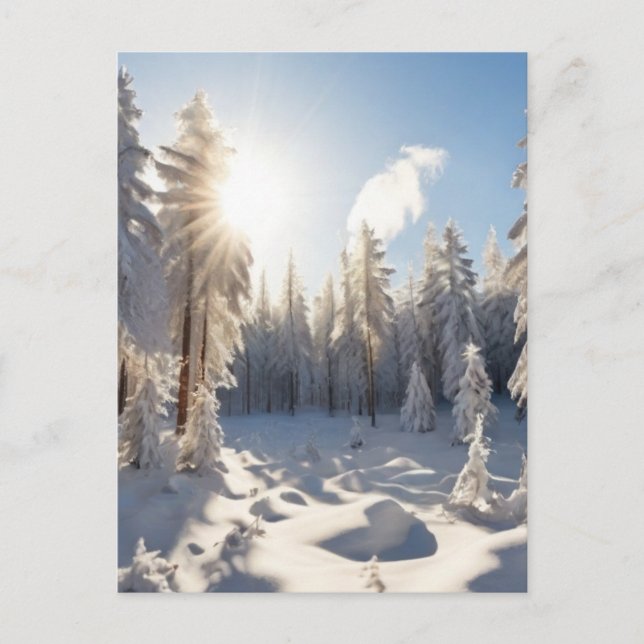 Postal Bosque de nieve (Anverso)