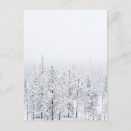 Postal Bosque de nieve
