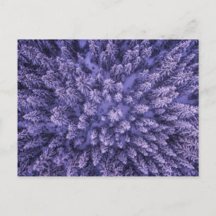 Postal Bosque de nieve noruego