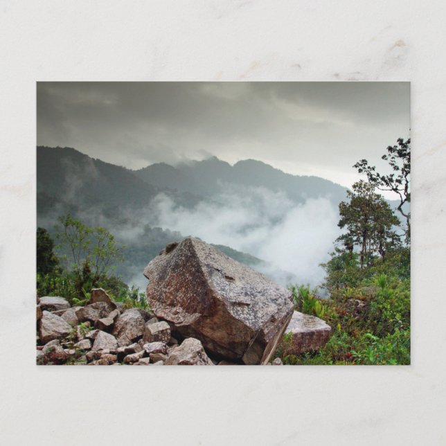 Postal Bosque de nube (Anverso)