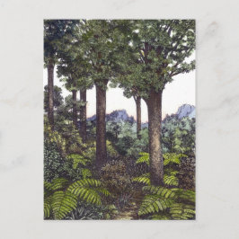 Postal Bosque de Nueva Zelanda