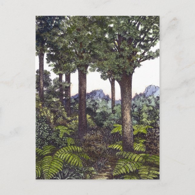 Postal Bosque de Nueva Zelanda (Anverso)